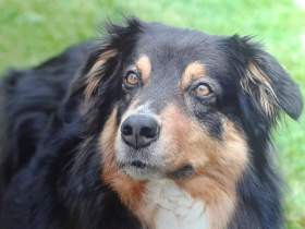 FB_IMG_1465874834261