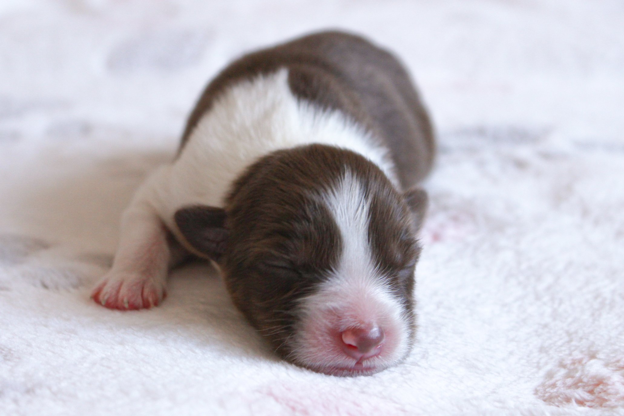 img_9008 (1)2407210906390864126..jpg