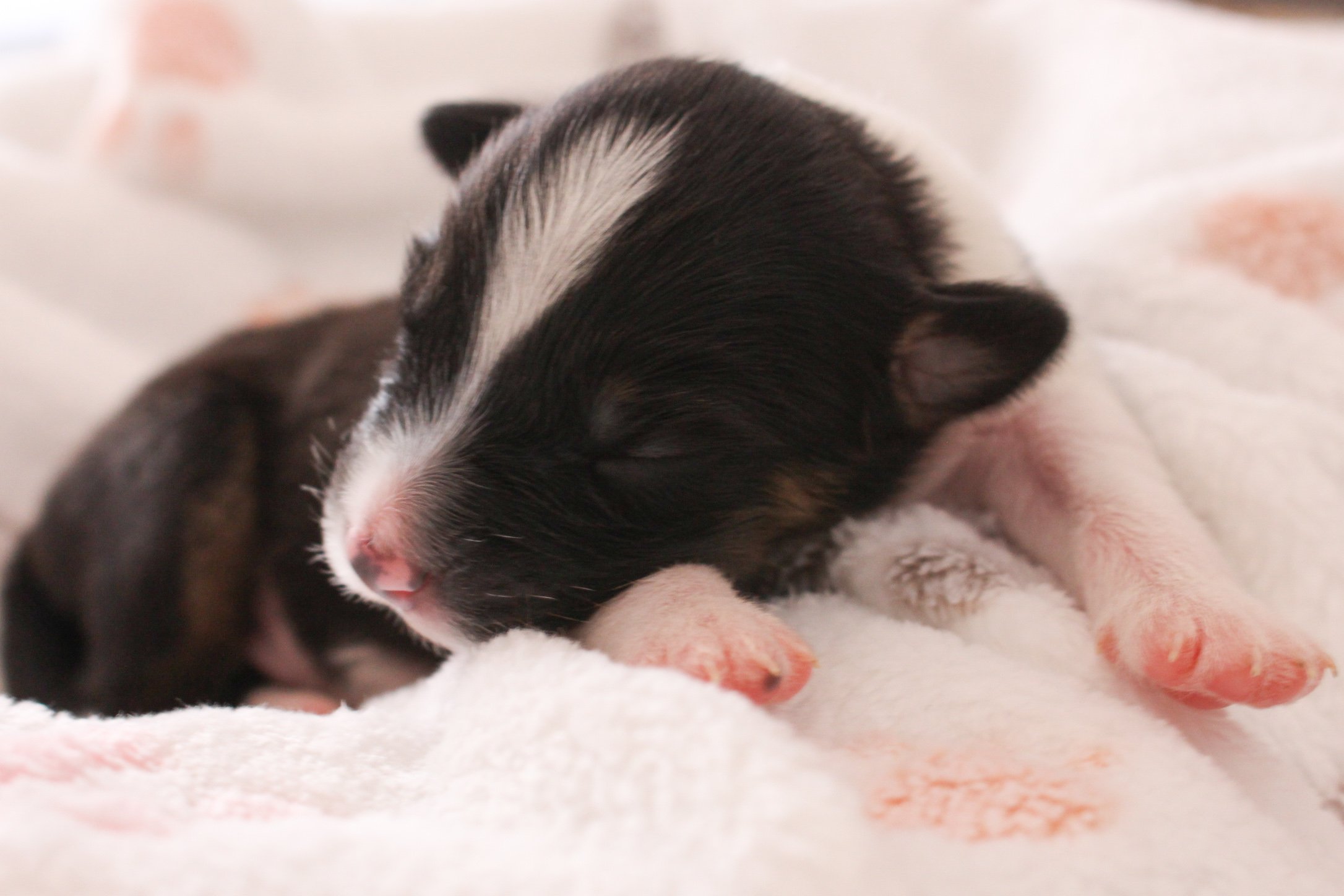 img_9127 (1)5922073425388939991..jpg