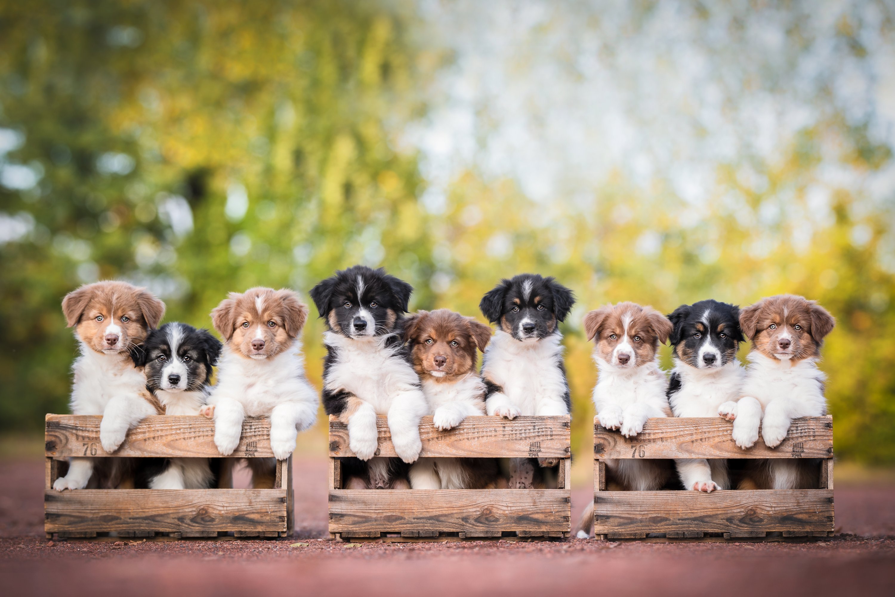 _g8i1431 (1)8705987570041690479..jpg