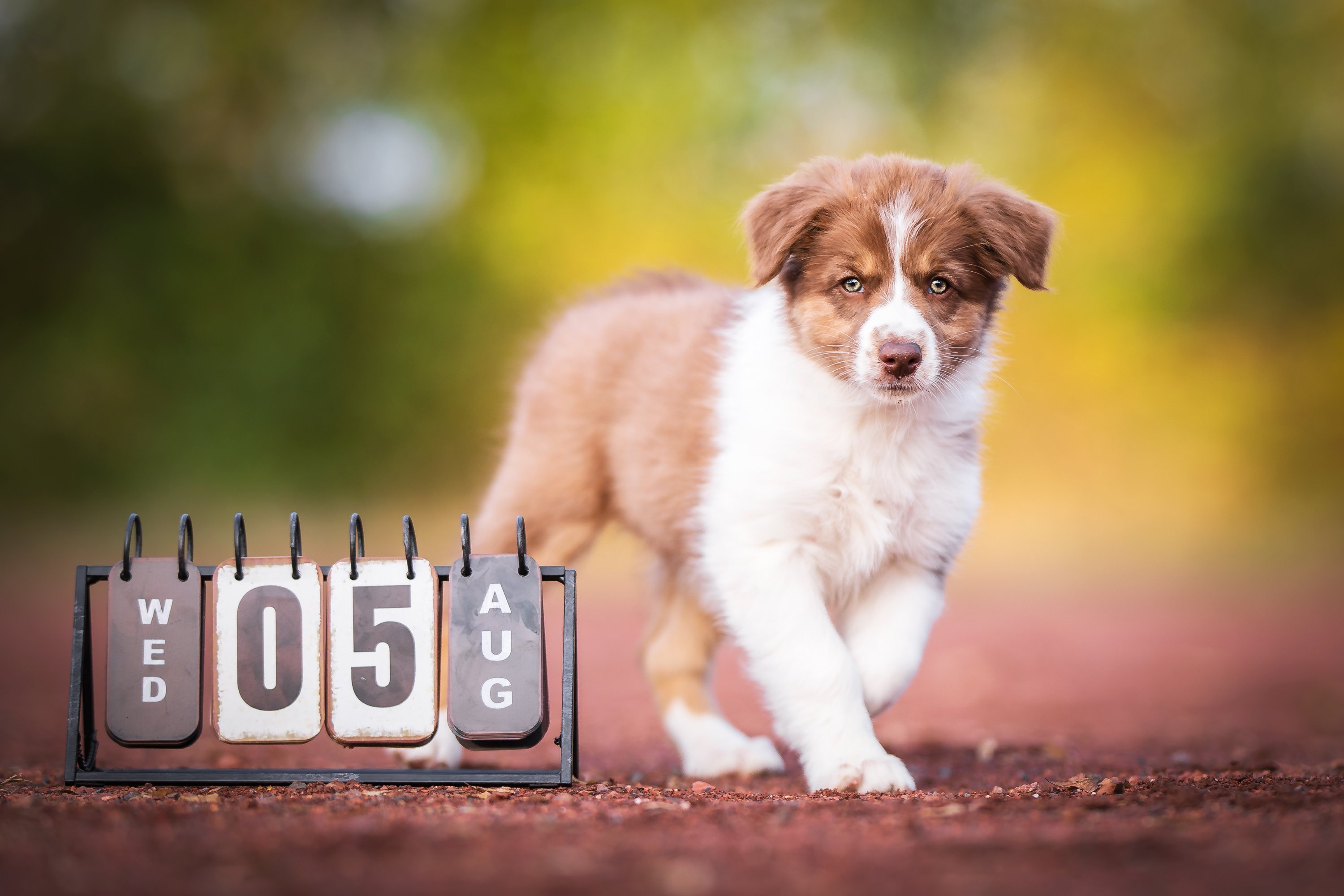 _g8i1488 (1)31714118880188080..jpg