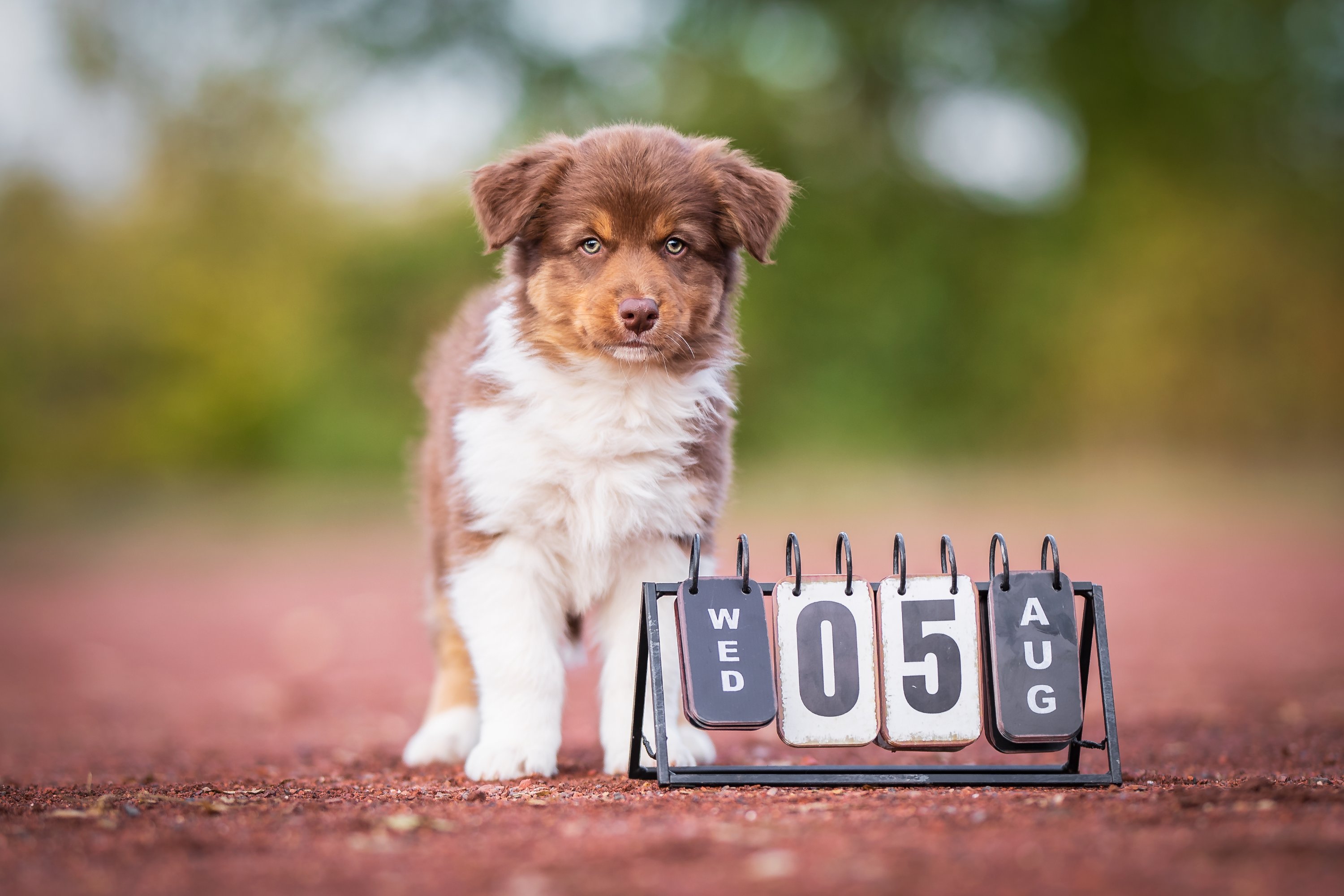 _g8i1598 (2)6086303562618397739..jpg