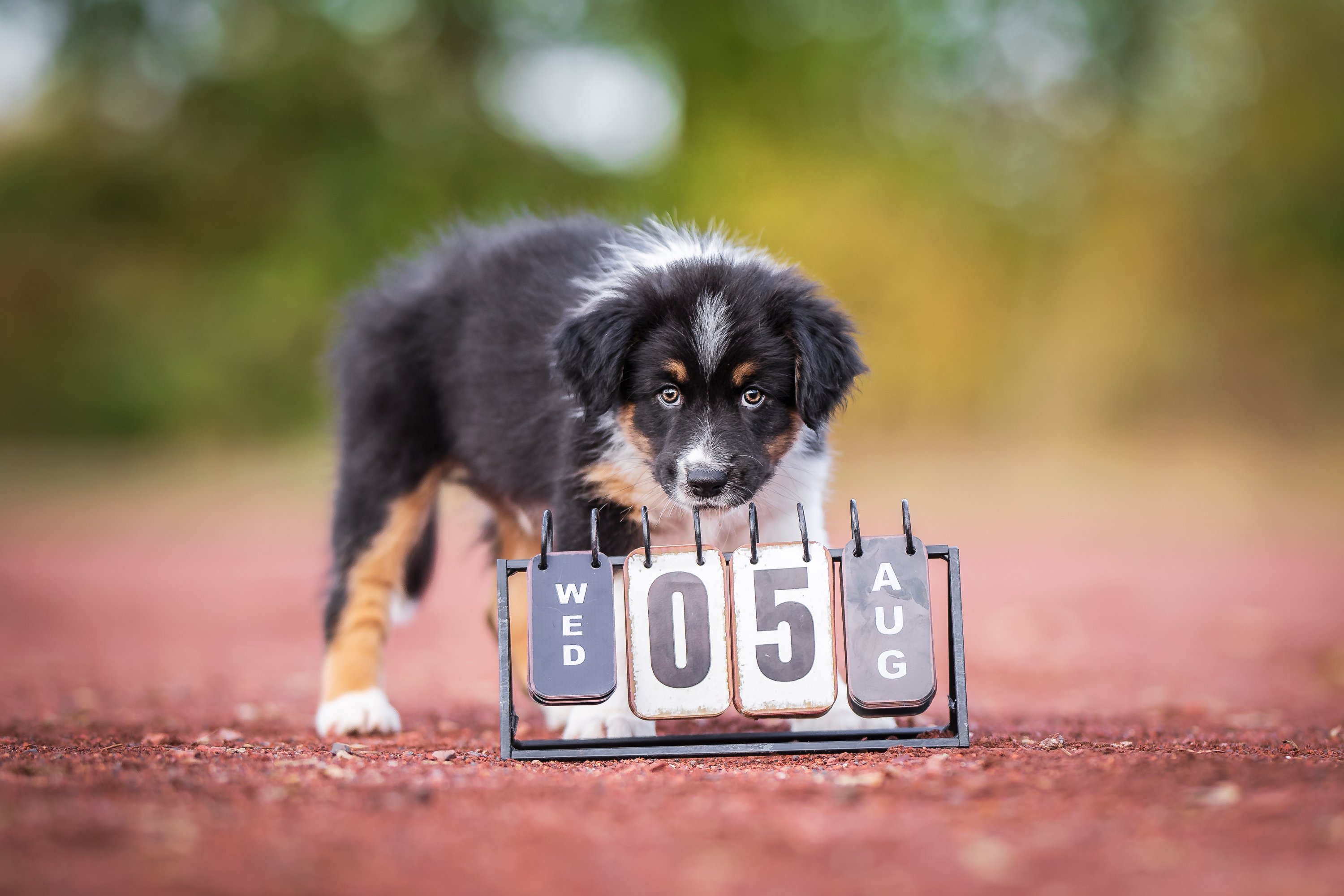 _g8i1646 (1)8232788185568593411..jpg