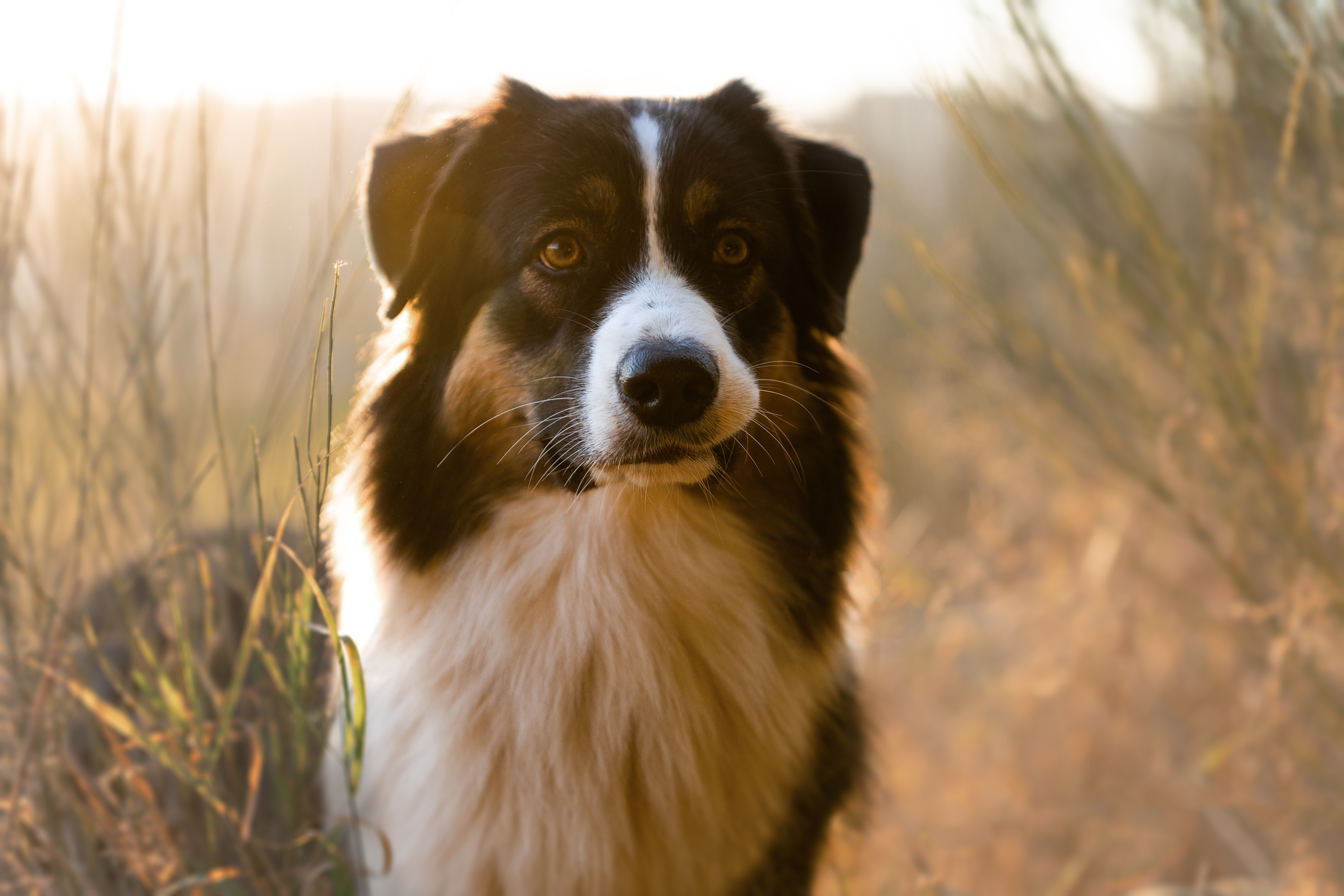 DQ5A2976-2-Bearbeitet