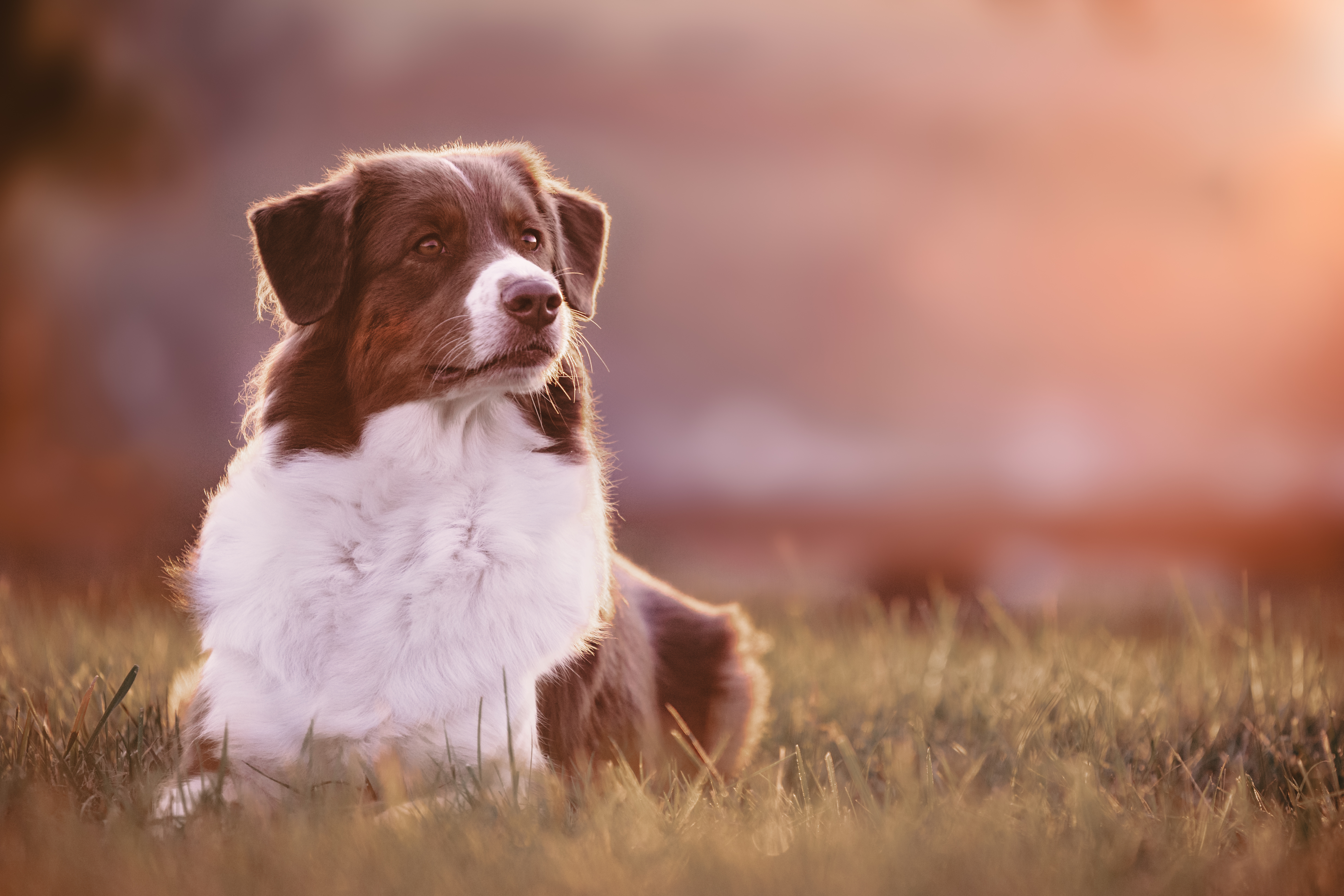 DQ5A3210-2-Bearbeitet-1