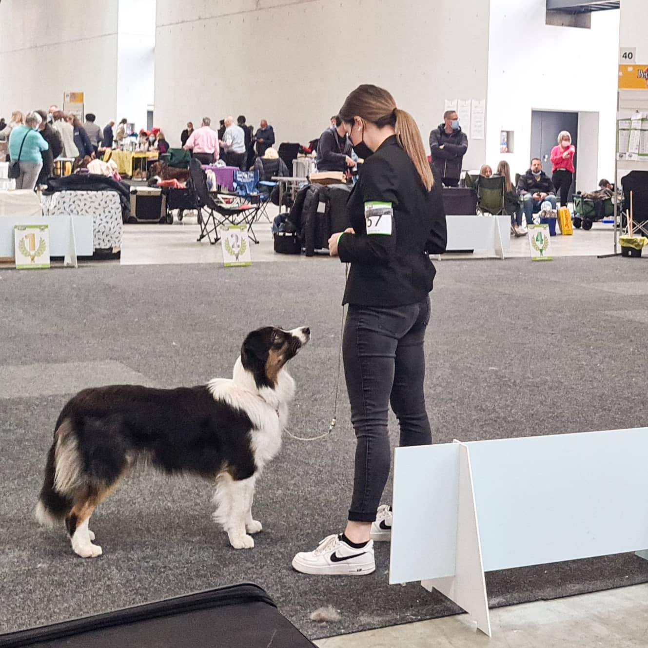 IMG_20211115_102906_974